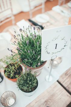 the table is set with plants and place cards