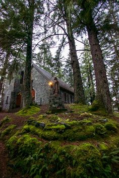 a small house in the woods with moss growing on it's roof and windows