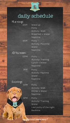 a brown dog sitting on top of a wooden floor next to a blackboard with daily schedule