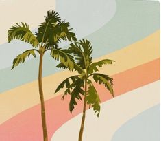 two palm trees against a multicolored background