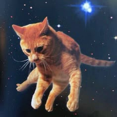 an orange cat is flying through the air with stars in the sky behind it,