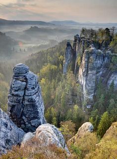 the mountains are covered with trees and rocks