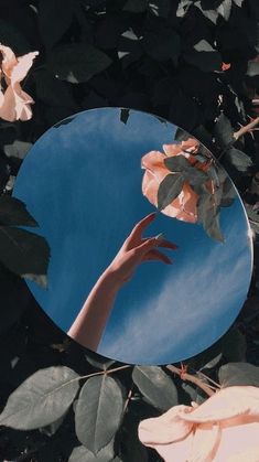 a person's hand reaching for a flower in front of a mirror with leaves on it