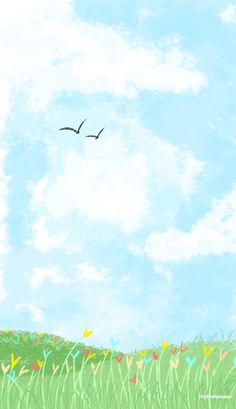 a bird flying over a lush green field under a blue sky with some white clouds