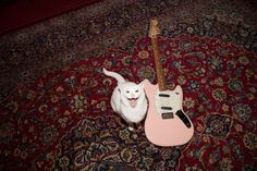 a white cat sitting next to a pink guitar on top of a carpeted floor