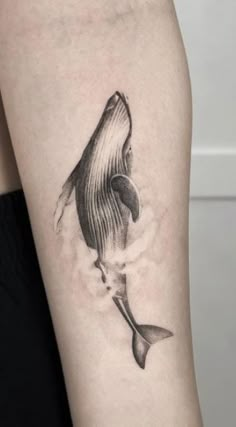 a black and white photo of a whale on the arm