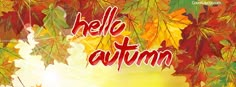 an autumn background with leaves and the words hello autumn