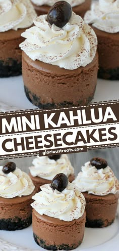 Mini Kahlua Cheesecake, holiday desserts, sweet treats Kahlua Cheesecake, Kahlua Recipes, Mini Cheesecake Recipes, Boozy Desserts, Cheesecake Cupcakes, Chocolate Sandwich Cookies, Desserts Menu, Cheesecake Desserts, Cheesecake Bites