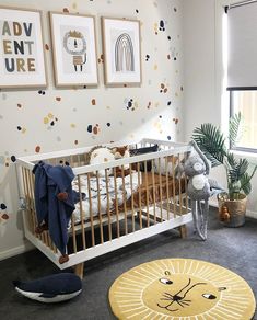 a baby's room with an animal themed wallpaper and rug on the floor