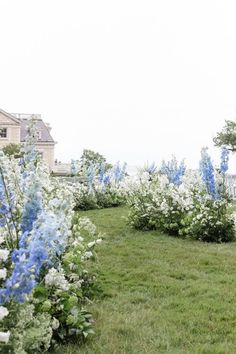 blue and white flowers line the grass in front of a house