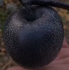 a hand holding an apple with water drops on it