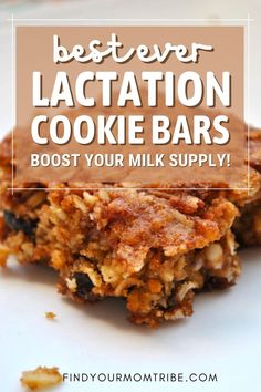 You’ve heard of lactation cookies, but what about lactation cookie bars? It’s like taking the best of a cookie and making it in brownie form. Homemade Lactation Cookies, Breastmilk Cookies, Best Lactation Cookies, Oatmeal Raisin Bars, Healthy Lactation Cookies