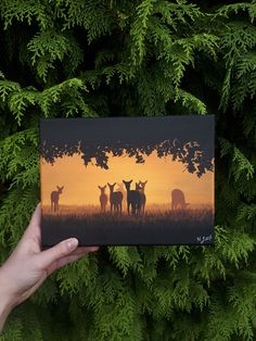 a hand holding up a card with deer in the background and trees behind it at sunset