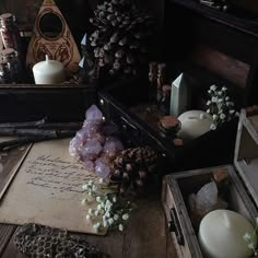 some pine cones and other items on a table