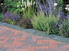 a black cat sitting in the middle of a brick walkway surrounded by flowers and plants