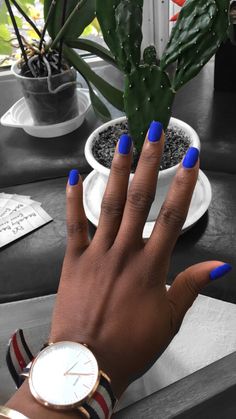 Royal Blue Manicure Ideas, Nail Ideas Acrylic Dark Colors, Mat Blue Nails, Blue Nails By Skin Tone Range, Blue Powder Nails, Blue Nails Gel Polish, Matte Blue Nails Design, Colbolt Blue Nails, Dark Blue Matte Nails