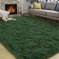 a living room filled with furniture and a green rug on the floor in front of a fire place