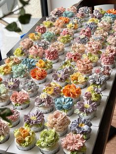 many cupcakes are arranged in rows on a table