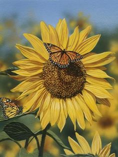 a painting of two butterflies on a sunflower