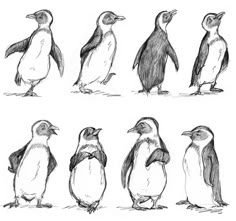 six penguins are standing in different positions