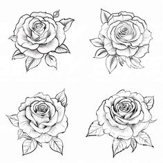 four roses with leaves on each side and one flower in the middle, all black and white