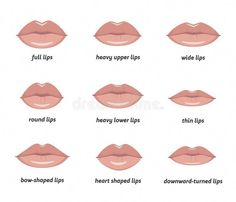 the different types of lips and how to use them for makeup royalty illustration on white background