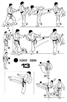 an instruction manual for karate, showing how to do the side kick with one hand