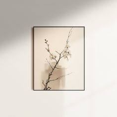 a vase with some flowers in it sitting on a table next to a white wall