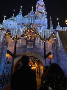 people are standing in front of a castle decorated with lights and garlands at night