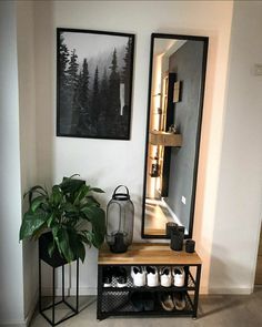 a room with a mirror, potted plant and other items on the floor in front of it