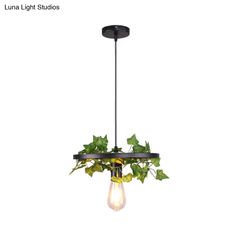 a light fixture with ivy growing on it's side and the words luna light studios above