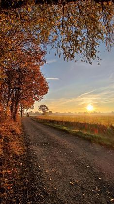 a dirt road surrounded by trees with the sun setting in the background