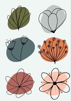 four different types of flowers on a white background with black and orange lines in the middle