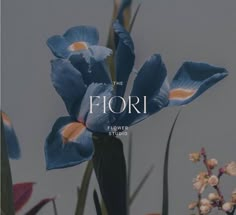 blue flowers with the words the flori above them