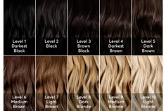 Hair Level Chart, Ion Hair Color Chart, Levels Of Hair Color, Ion Hair Colors, Madison Reed Hair Color, Brown Hair Color Chart