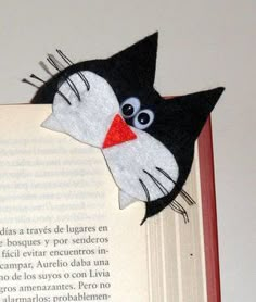 an open book with a black and white cat on it's face, next to a red frame