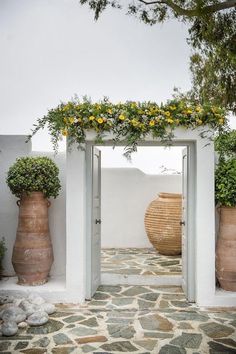 an open door leading into a white walled area with potted plants on either side