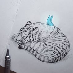 a drawing of a tiger laying down with a blue butterfly on its head