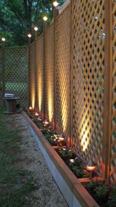 a wooden fence with lights on it and plants growing in the bottom right hand corner