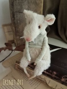 a stuffed mouse is sitting on top of an old book and wearing a white sweater