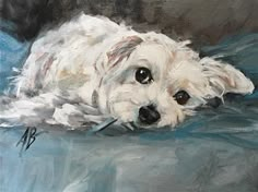 a painting of a white dog laying down