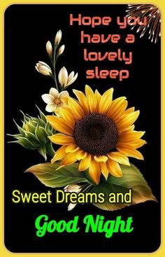 a sunflower with the words, hope you have a lovely sleep sweet dreams and good night