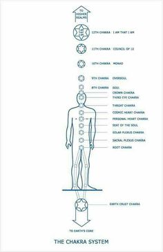 12 Chakras, Mind Reading Tricks, Chakra Chart, Spiritual Science, Kundalini Meditation, Manipura Chakra, Path To Enlightenment, Chakra Healing Meditation, Chakra Health