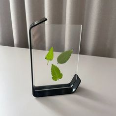 a glass vase with leaves in it on a table