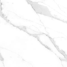 a white marble textured background with black and gray accents