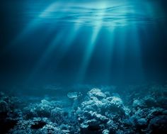 an underwater scene with sunlight streaming through the water and light shining on the coral reef