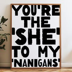 a black and white poster that says you're the she to my nanigans