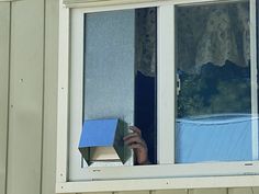 a person holding a blue box looking out the window