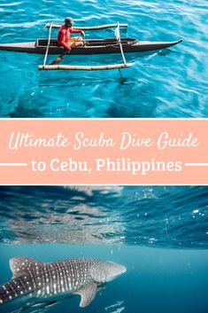 the ultimate scuba dive guide to cebu, philippines