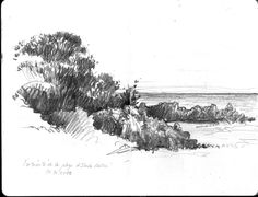 a pencil drawing of trees on the beach with water in the back ground and rocks to the side